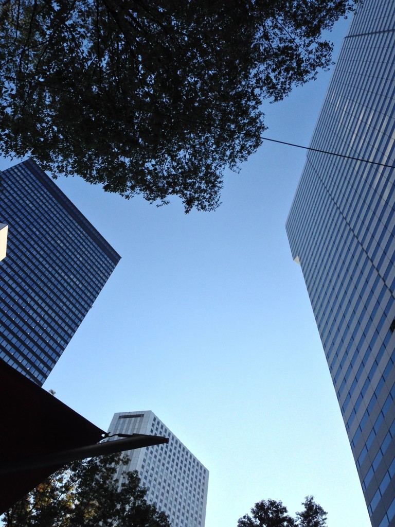 from Patio Squqre｜パティオ広場から